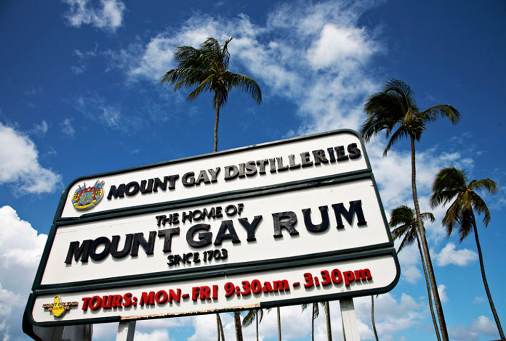  Distillerie Mount Gay