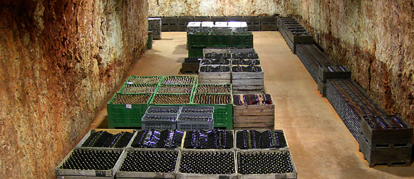 cantina polvanera gioia del colle